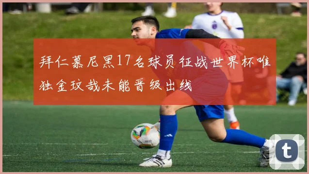 拜仁慕尼黑17名球员征战世界杯唯独金玟哉未能晋级出线